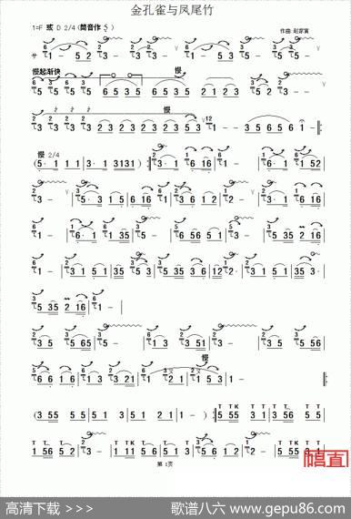 金孔雀与凤尾竹|赵家寅