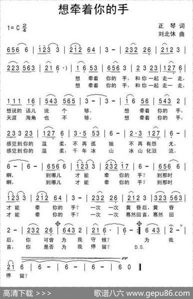 想牵着你的手 - 正琴|刘北休