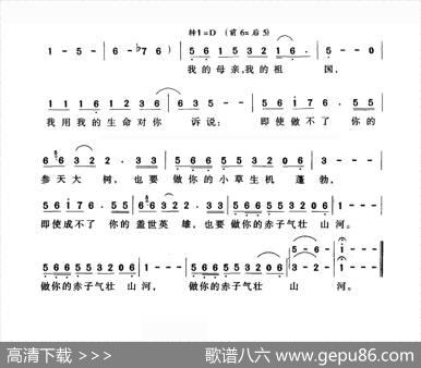 我的母亲，我的祖国 - 李官明|杨季涛