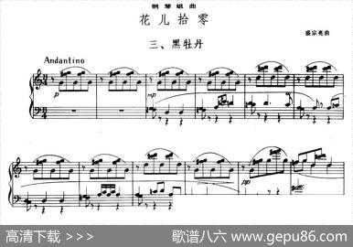 花儿拾零三、黑牡丹|盛宗亮