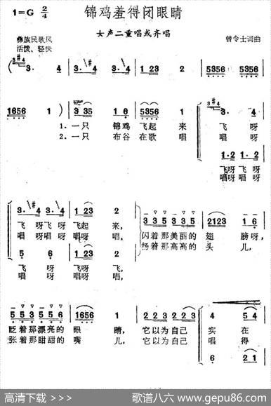 锦鸡羞得闭眼睛 - 曾令士|曾令士