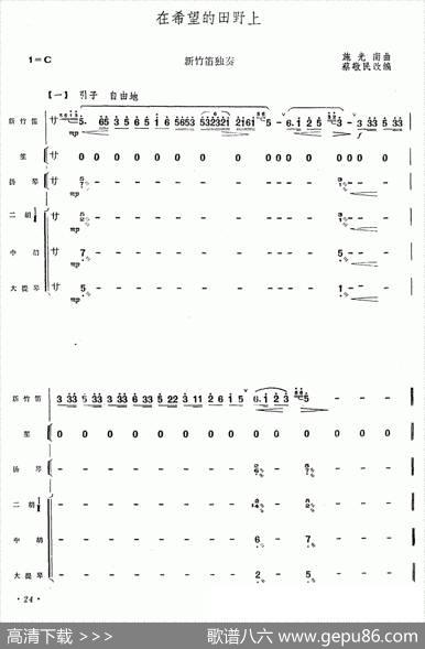 在希望的田野上（新竹笛+乐队伴奏）|施光南原曲、蔡敬民改编