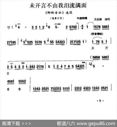 [秦腔]未开言不由我泪流满面（《柳林告状》杨素贞唱段）