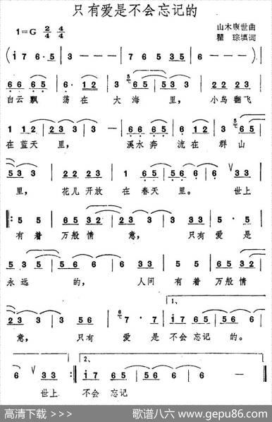 只有爱是不会忘记的 - 瞿琮|山木康世