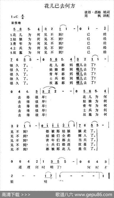 花儿已去何方|周枫译配