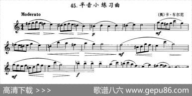 半音小练习曲（单簧管）|[奥]卡·车尔尼