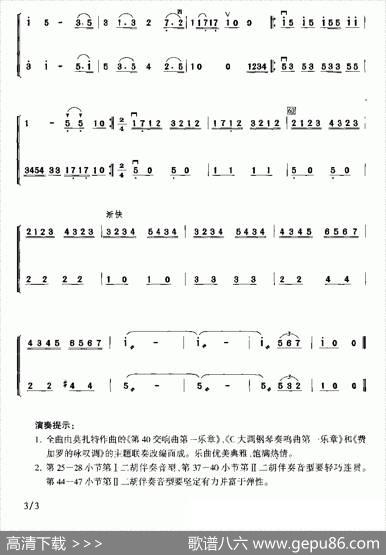 神童写意（二重奏）|张飞龙张建国改编