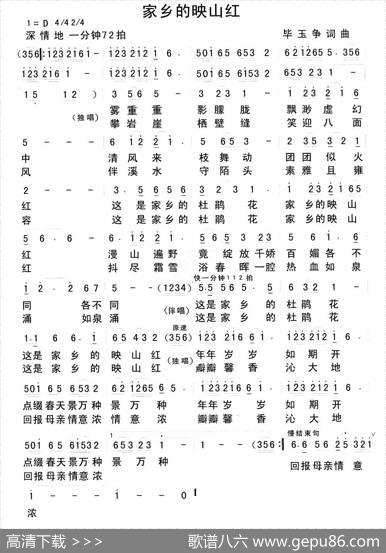 家乡的映山红 - 毕玉争|毕玉争