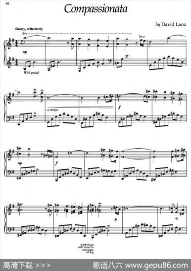 Compassionata|[美]大卫·兰兹(DavidLanz)，