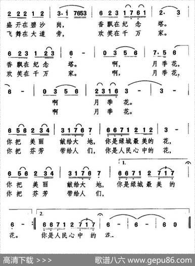 我爱绿城月季花 - 金黎|万长海