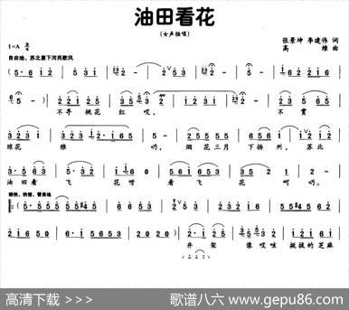 油田看花 - 张建坤李建伟|高维