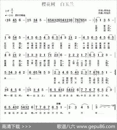 樱花树白玉兰 - 李如会|朱加农