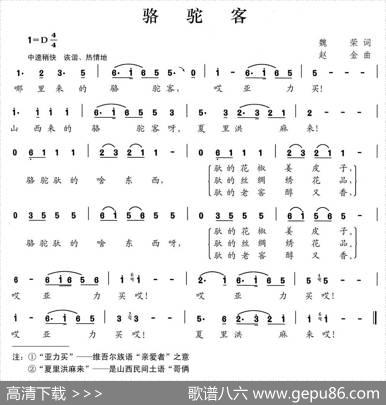 骆驼客 - 魏荣|赵金