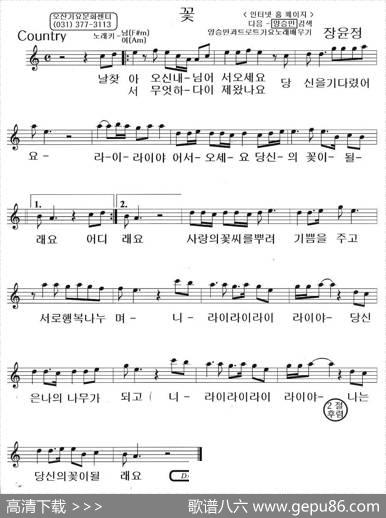 [韩国]花