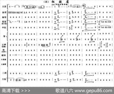 枉凝眉（民乐合奏总谱）