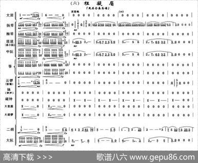 枉凝眉（民乐合奏总谱）