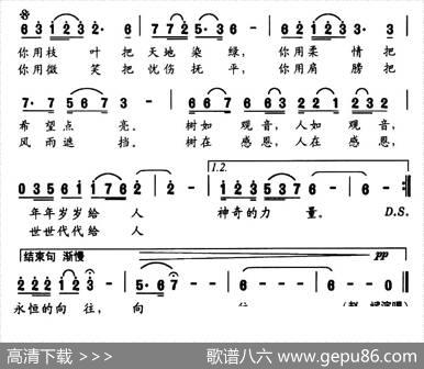 观音柳 - 葛迅|束传贤