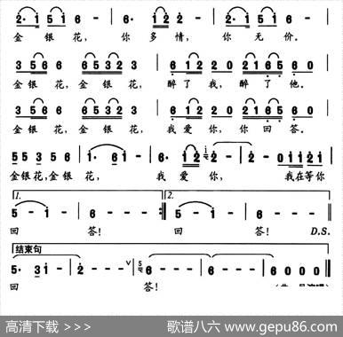 金银花（尹恒斌李长远词杜兴成曲） - 尹恒斌李长远|杜兴成