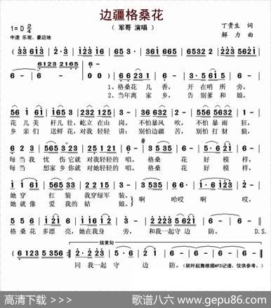 边疆格桑花 - 丁贵生|解力