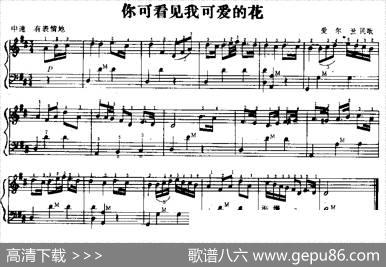 你可看见我可爱的花（爱尔兰民歌）