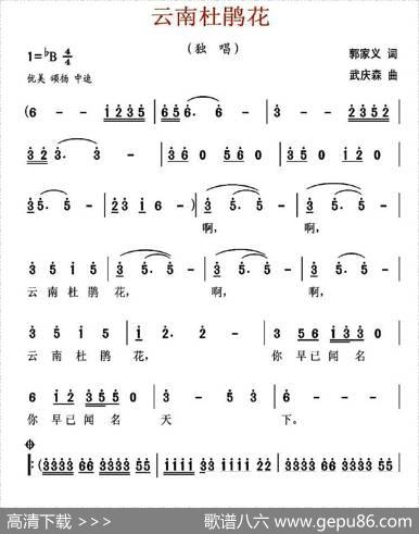 云南杜鹃花 - 郭家义|武庆森