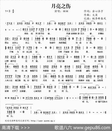 月亮之伤 - 金心浪子|大漠