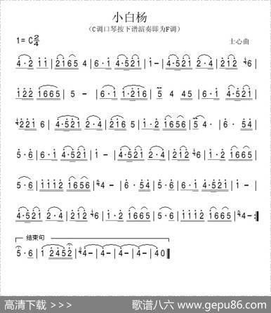小白杨（C调口琴奏F调谱）|士心