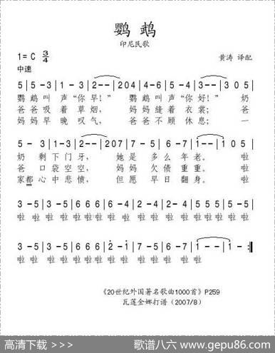 [印尼]鹦鹉
