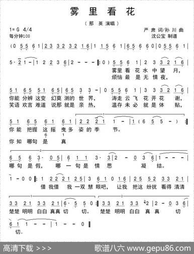 雾里看花 - 阎肃|孙川