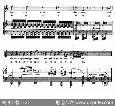 天鹅之歌12、海滨（中外文对照、正谱） - 海涅|舒伯特