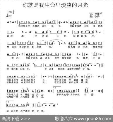 你就是我生命里淡淡的月光 - 肖建明|小卉