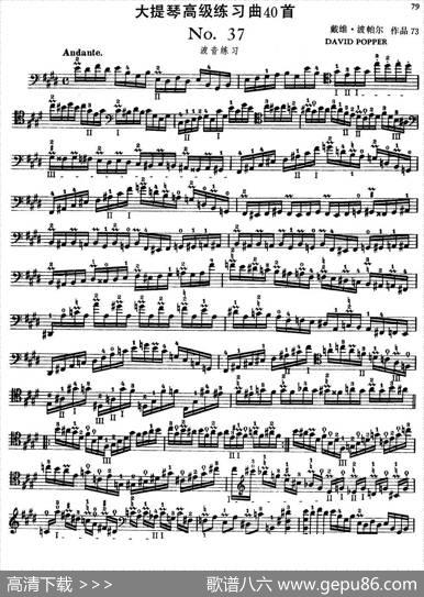 大提琴高级练习曲40首No.37（波音练习）|戴维·波帕尔