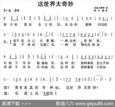 这世界太奇妙 - 语文教师|杨小超