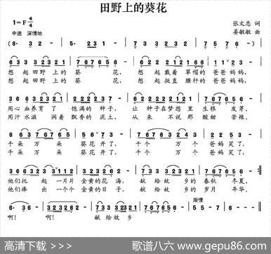 田野上的葵花 - 张文忠|晏敏敏