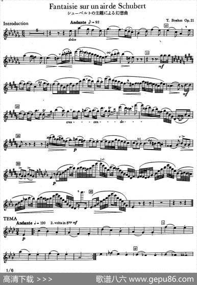 fantaisiesurunairdeSchubert|boehm