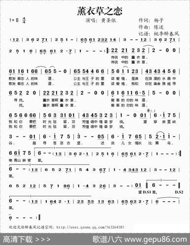 薰衣草之恋 - 杨子|陈述