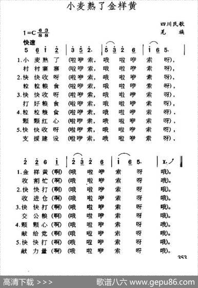 小麦熟了金样黄（四川羌族民歌）