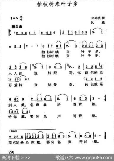 柏枝树来叶子多（云南民歌）