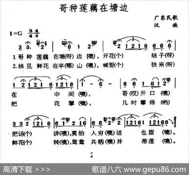 哥种莲藕在塘边（广东民歌）