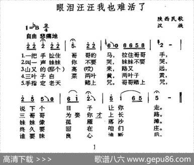 眼泪汪汪我也难活了（陕西民歌）