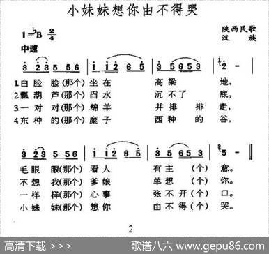 小妹妹想你由不得哭（陕西民歌）