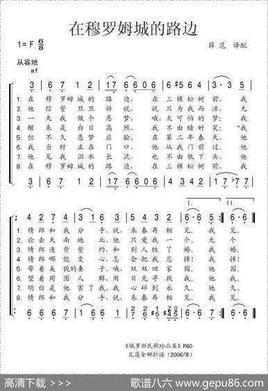 在穆罗姆城的路边（俄）