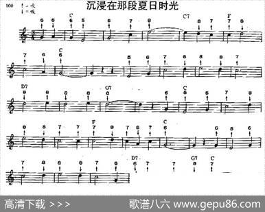 沉浸在那段夏日时光（布鲁斯）