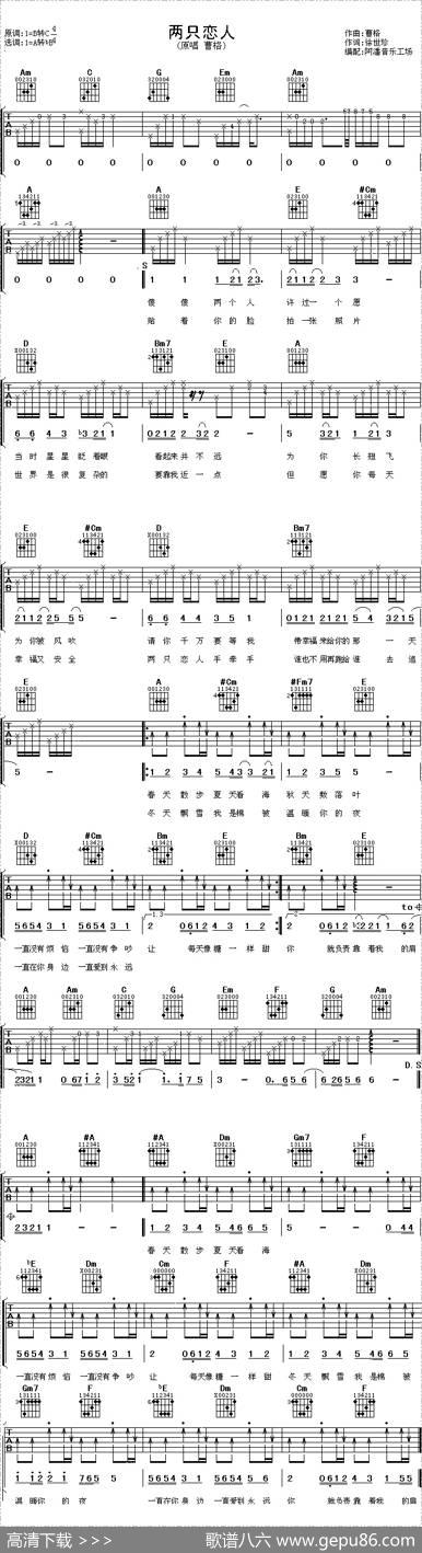 两只恋人 - 徐世珍|曹格