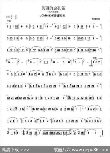美丽的金孔雀（杨建生作曲版）|杨建生