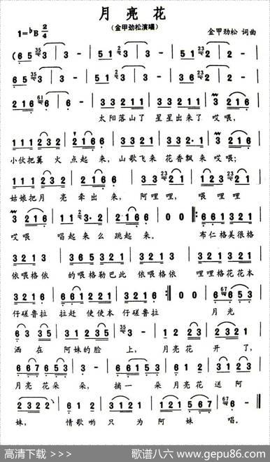 月亮花（金甲劲松词曲） - 金甲劲松|金甲劲松