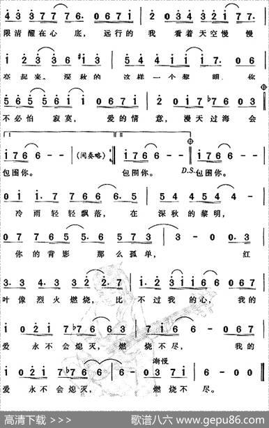 深秋的黎明 - 娃娃|黄明州