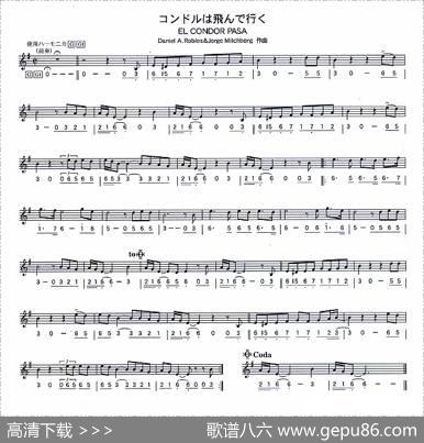 老鹰之歌