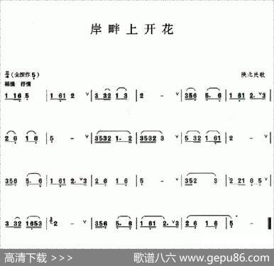 岸畔上开花