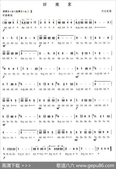 考级七级曲目：回娘家